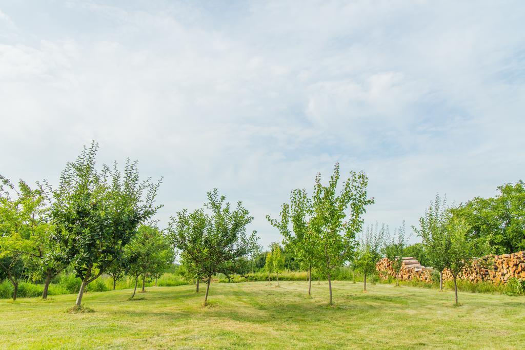 Garden Holiday Home Drenje  Zewnętrze zdjęcie
